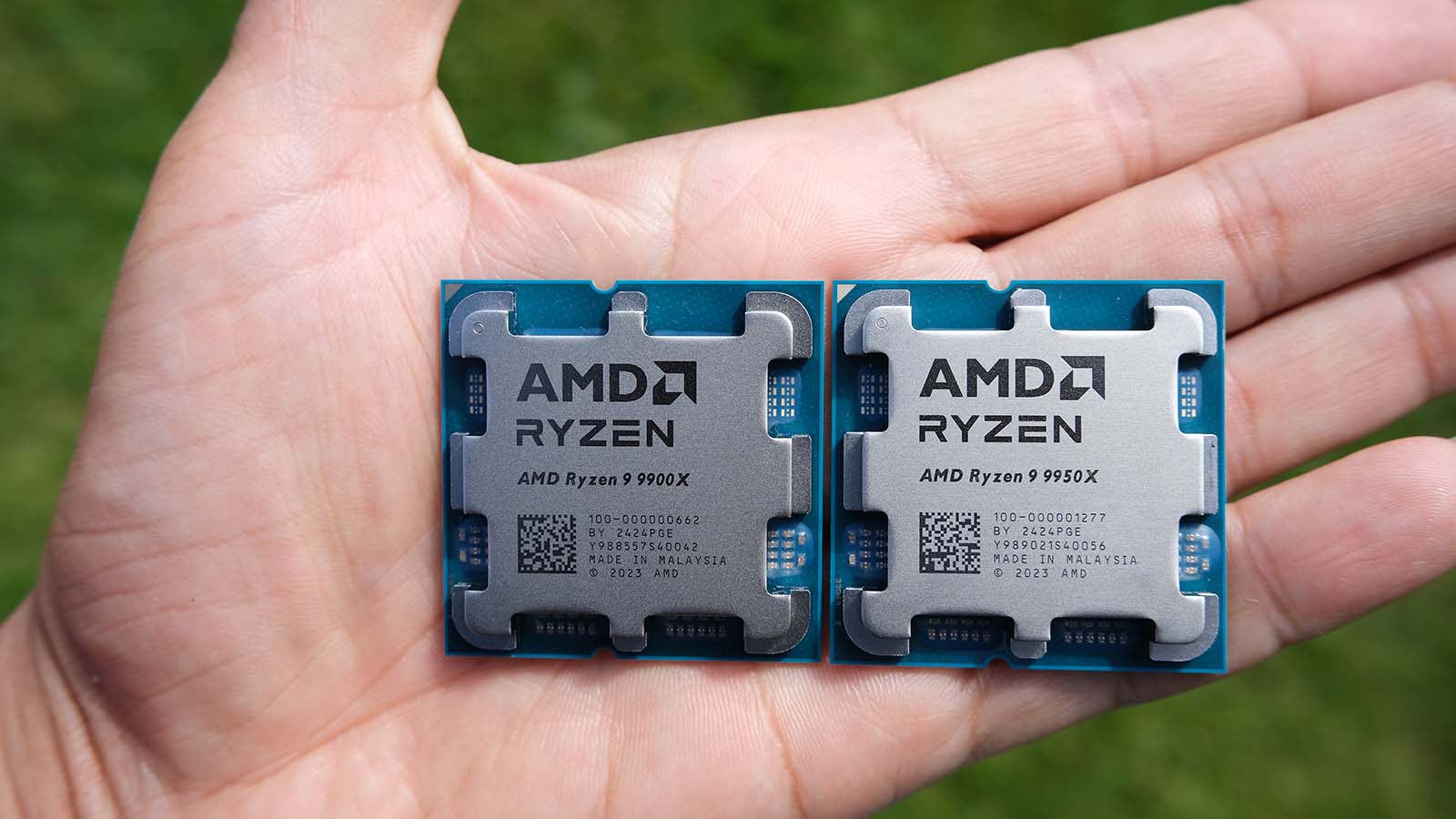 A picture of an AMD Ryzen 9 9950X and 9900X being held in the hand.