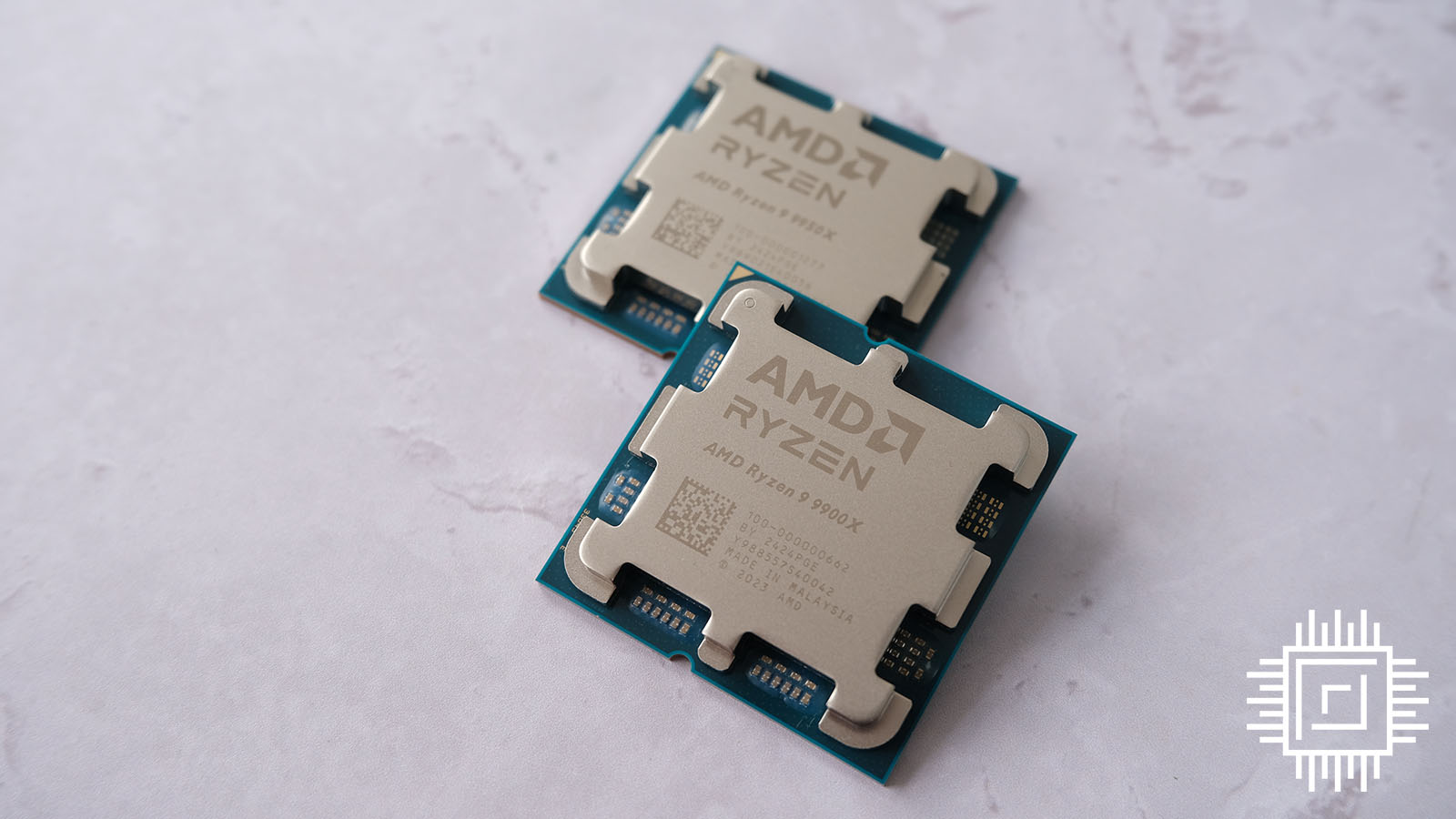 A picture showing the AMD Ryzen 9 9900X and 9950X CPUs.