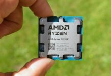 A picture of the AMD Ryzen 9 9950X CPU with a grass background.