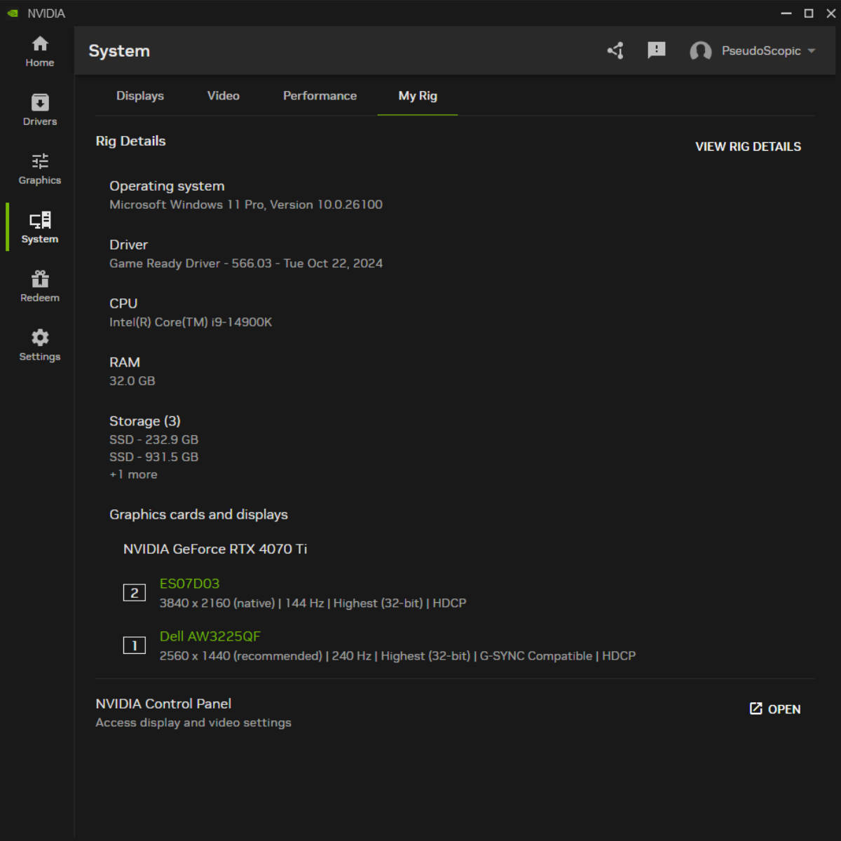 Nvidia App system rig details tab.