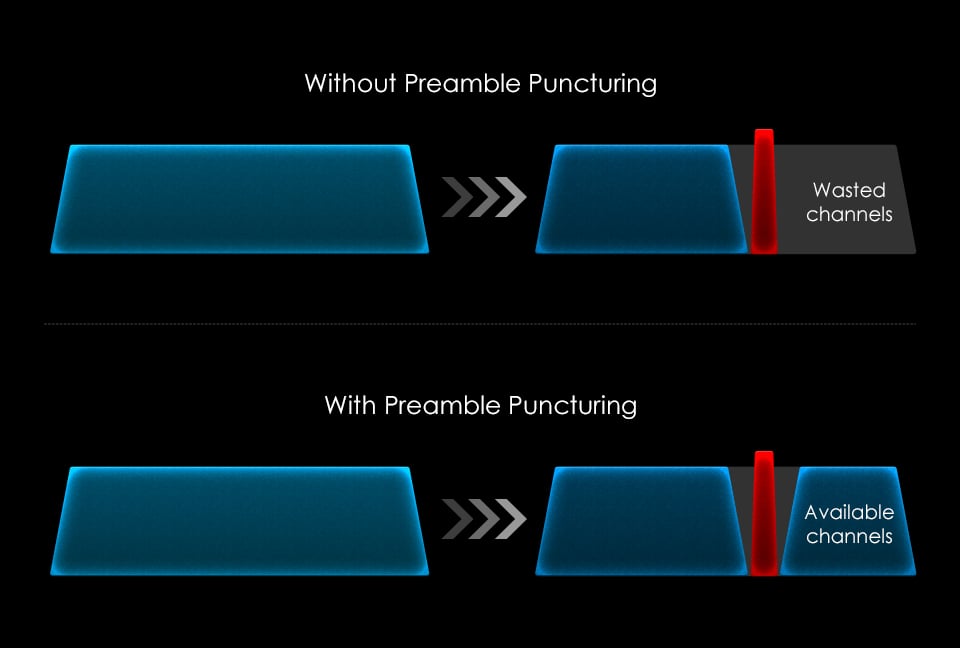 Diagram demonstrating how Premable Puncturing functions.