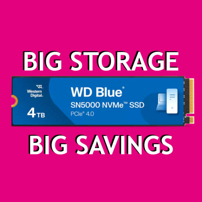 WD Blue SN5000 SSD against a pink background, surrounded by the text 'Big Savings' (bottom) and 'Big Storage' (top).